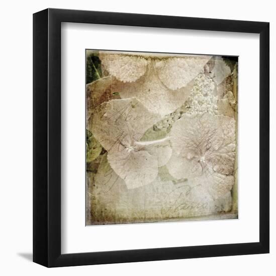 Hydrangeas 4-Dawne Polis-Framed Art Print