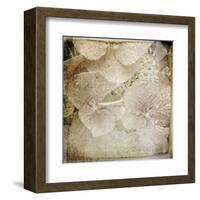 Hydrangeas 4-Dawne Polis-Framed Art Print