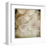 Hydrangeas 4-Dawne Polis-Framed Art Print