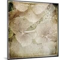 Hydrangeas 4-Dawne Polis-Mounted Art Print