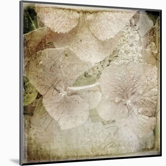 Hydrangeas 4-Dawne Polis-Mounted Art Print