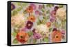 Hydrangeas and Anemones-Silvia Vassileva-Framed Stretched Canvas