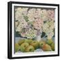 Hydrangeas and cooking apples-Jennifer Abbott-Framed Premium Giclee Print