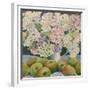 Hydrangeas and cooking apples-Jennifer Abbott-Framed Premium Giclee Print