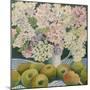 Hydrangeas and cooking apples-Jennifer Abbott-Mounted Premium Giclee Print