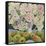Hydrangeas and cooking apples-Jennifer Abbott-Framed Stretched Canvas