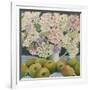 Hydrangeas and cooking apples-Jennifer Abbott-Framed Giclee Print