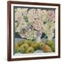 Hydrangeas and cooking apples-Jennifer Abbott-Framed Giclee Print