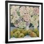 Hydrangeas and cooking apples-Jennifer Abbott-Framed Giclee Print