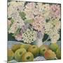 Hydrangeas and cooking apples-Jennifer Abbott-Mounted Giclee Print