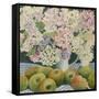 Hydrangeas and cooking apples-Jennifer Abbott-Framed Stretched Canvas