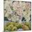 Hydrangeas and cooking apples-Jennifer Abbott-Mounted Giclee Print