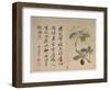 Hydrangeas, from an Album of Ten Leaves-Yun Shouping-Framed Giclee Print