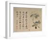 Hydrangeas, from an Album of Ten Leaves-Yun Shouping-Framed Giclee Print