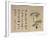 Hydrangeas, from an Album of Ten Leaves-Yun Shouping-Framed Giclee Print