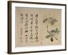 Hydrangeas, from an Album of Ten Leaves-Yun Shouping-Framed Giclee Print