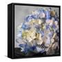 Hydrangeas I-Susan Bryant-Framed Stretched Canvas