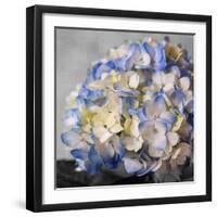 Hydrangeas I-Susan Bryant-Framed Photographic Print