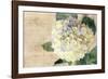 Hydrangeas II-Susan Bryant-Framed Photo