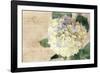 Hydrangeas II-Susan Bryant-Framed Photo