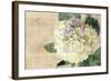 Hydrangeas II-Susan Bryant-Framed Photo