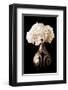 Hydrangeas in A Vase-Christine Zalewski-Framed Art Print