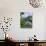 Hydrangeas in Bloom, Island of Sao Miguel, Azores, Portugal-David Lomax-Photographic Print displayed on a wall