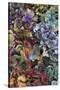 Hydrangeas in Garden, Portland, Oregon, USA-Jaynes Gallery-Stretched Canvas