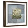 Hydrangeas on Blue I-Patricia Pinto-Framed Art Print