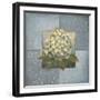 Hydrangeas on Blue I-Patricia Pinto-Framed Premium Giclee Print