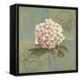 Hydrangeas on Green II-Patricia Pinto-Framed Stretched Canvas