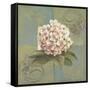 Hydrangeas on Green II-Patricia Pinto-Framed Stretched Canvas