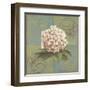 Hydrangeas on Green II-Patricia Pinto-Framed Art Print