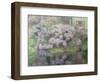 Hydrangeas on the Banks of the River Lys, 1898-Emile Claus-Framed Giclee Print