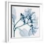 Hydrangeas - Positive (Left)-Steven N^ Meyers-Framed Giclee Print