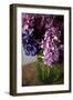 Hydrangeas VI-Karyn Millet-Framed Photographic Print