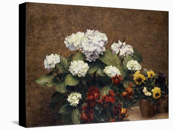 Hydrangeas, Wallflowers and Two Pots of Pansies, 1879-Henri Fantin-Latour-Stretched Canvas