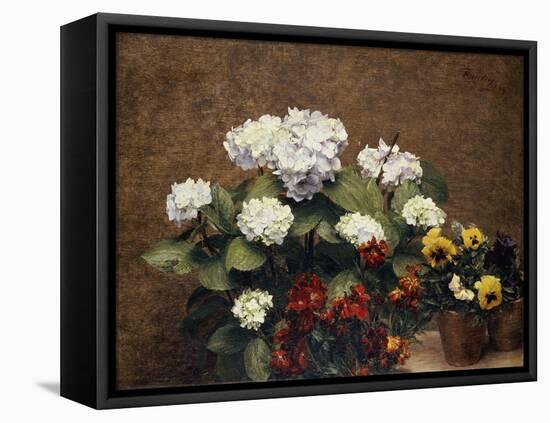 Hydrangeas, Wallflowers and Two Pots of Pansies, 1879-Henri Fantin-Latour-Framed Stretched Canvas