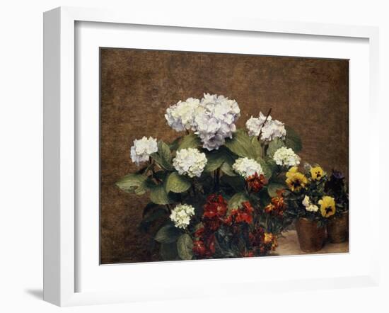 Hydrangeas, Wallflowers and Two Pots of Pansies, 1879-Henri Fantin-Latour-Framed Giclee Print