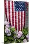 Hydrangeas with American Flag, Block Island, Rhode Island, USA-Cindy Miller Hopkins-Mounted Photographic Print