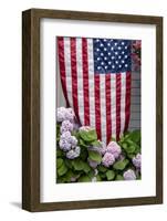 Hydrangeas with American Flag, Block Island, Rhode Island, USA-Cindy Miller Hopkins-Framed Photographic Print