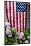 Hydrangeas with American Flag, Block Island, Rhode Island, USA-Cindy Miller Hopkins-Mounted Photographic Print