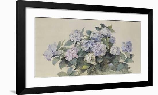 Hydrangeas-Madeleine-Jeanne Lemaire-Framed Premium Giclee Print