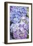 Hydrangeas-Klaus Scholz-Framed Photographic Print