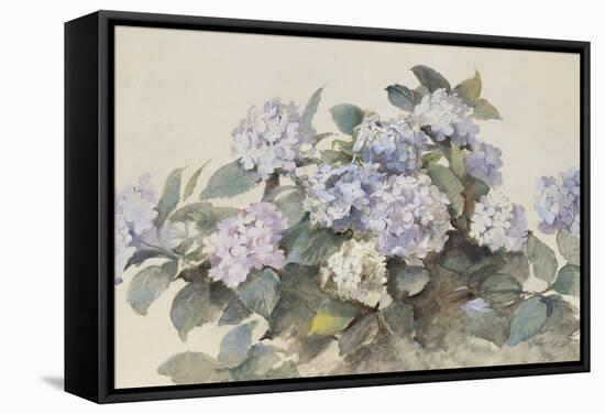 Hydrangeas-Madeleine Lemaire-Framed Stretched Canvas