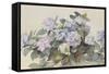 Hydrangeas-Madeleine Lemaire-Framed Stretched Canvas