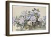 Hydrangeas-Madeleine Lemaire-Framed Art Print