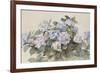 Hydrangeas-Madeleine Lemaire-Framed Art Print