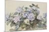 Hydrangeas-Madeleine Lemaire-Mounted Art Print