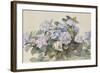 Hydrangeas-Madeleine Lemaire-Framed Art Print